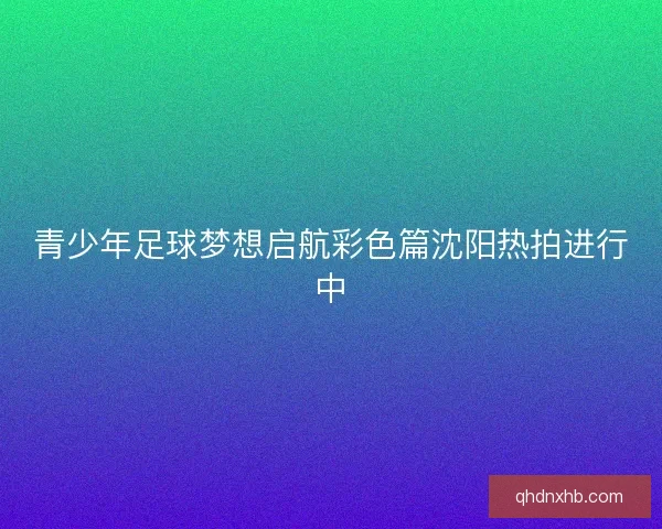 青少年足球梦想启航彩色篇沈阳热拍进行中