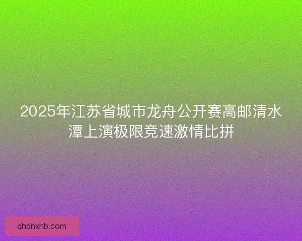 2025年江苏省城市龙舟公开赛高邮清水潭上演极限竞速激情比拼
